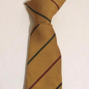 Forest Federation 14" Clip on Tie Gold with Stripes