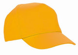 Pattishall Primary Baseball Cap in House Colours with Logo and Option for Name