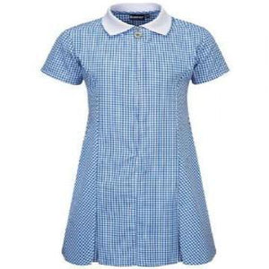 Blue Plain Zip Gingham Dress