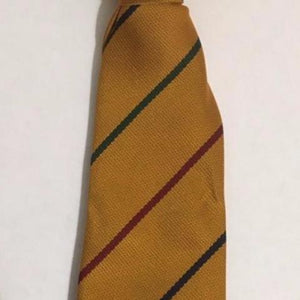 Forest Federation 45" Tie Gold with Stripes