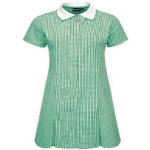 Green Plain Zip Gingham Dress
