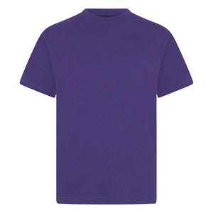 Longwood Infant Purple PE Teeshirt with Logo and Print