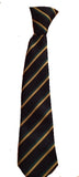 Walton Holymoorside Primary Tie